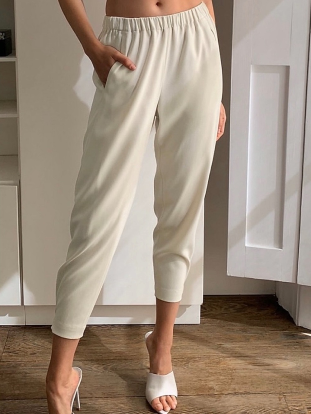 Aritzia Babaton Dexter Pants